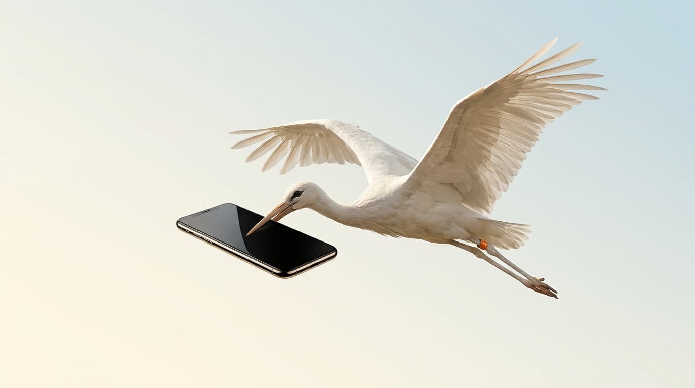 The $1M/Year Anti-Trend App Strategy